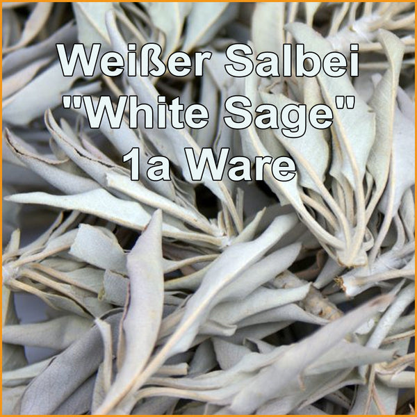Allerbester Weißer Salbei - Salvia apiana