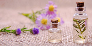 Frische Sommerdüfte für Zuhause