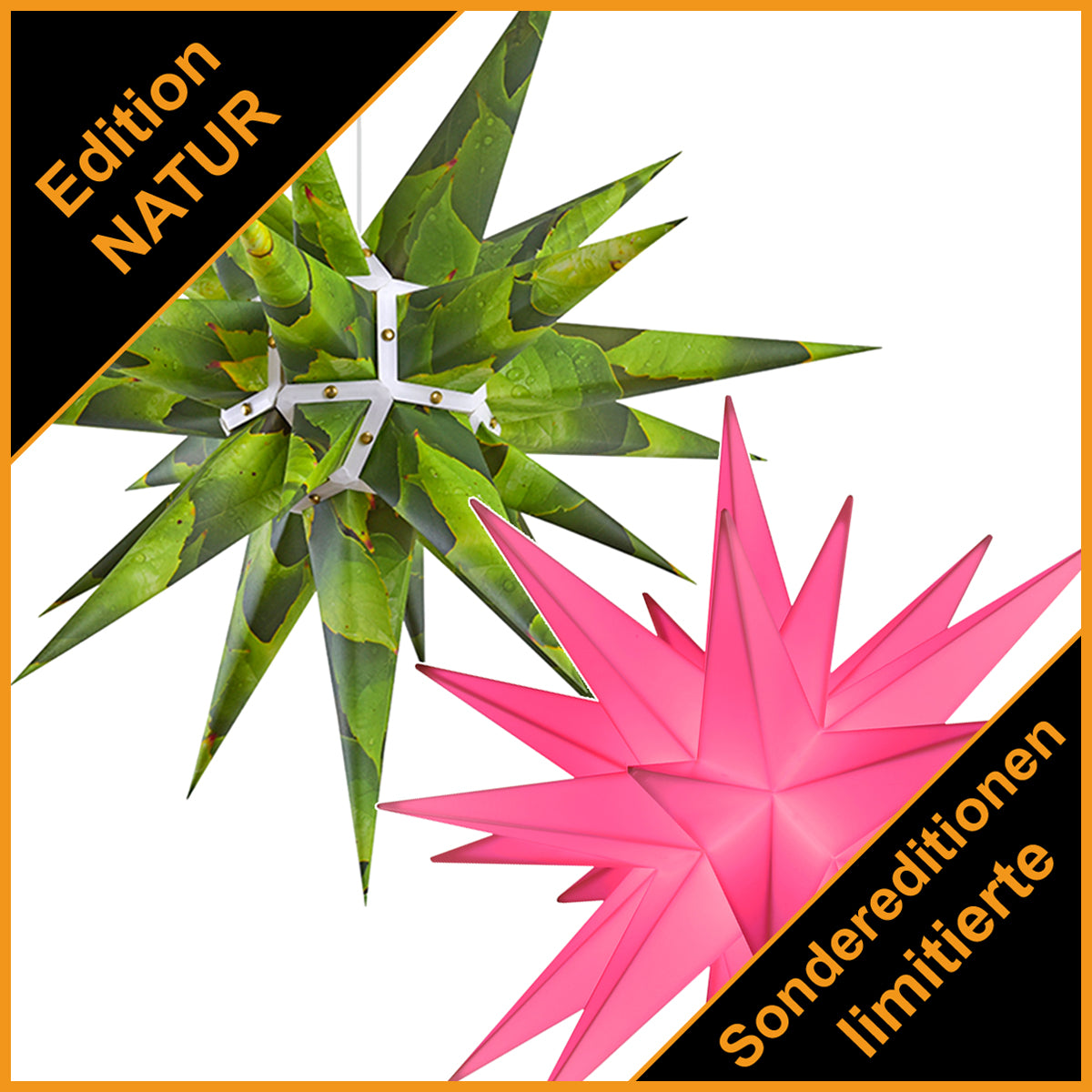 SONDEREDITION Herrnhuter Sterne Herrnhuter Stern Sonderedition