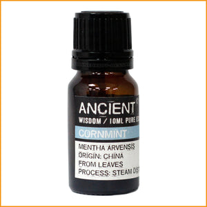 ACKERMINZE Ätherisches Öl 10 ml | Duftöl Ackerminze