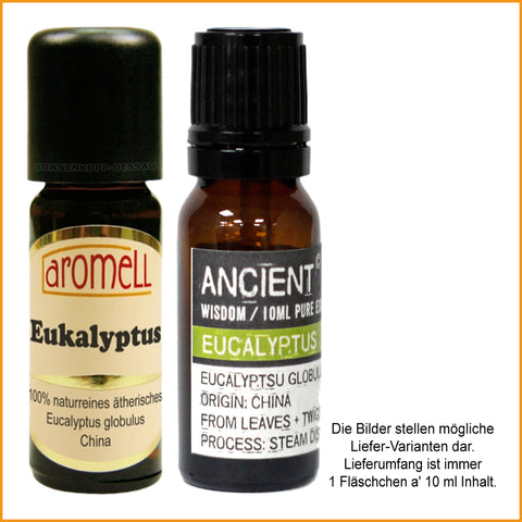 EUKALYPTUS Ätherisches Öl 10 ml | Duftöl Eucalyptus