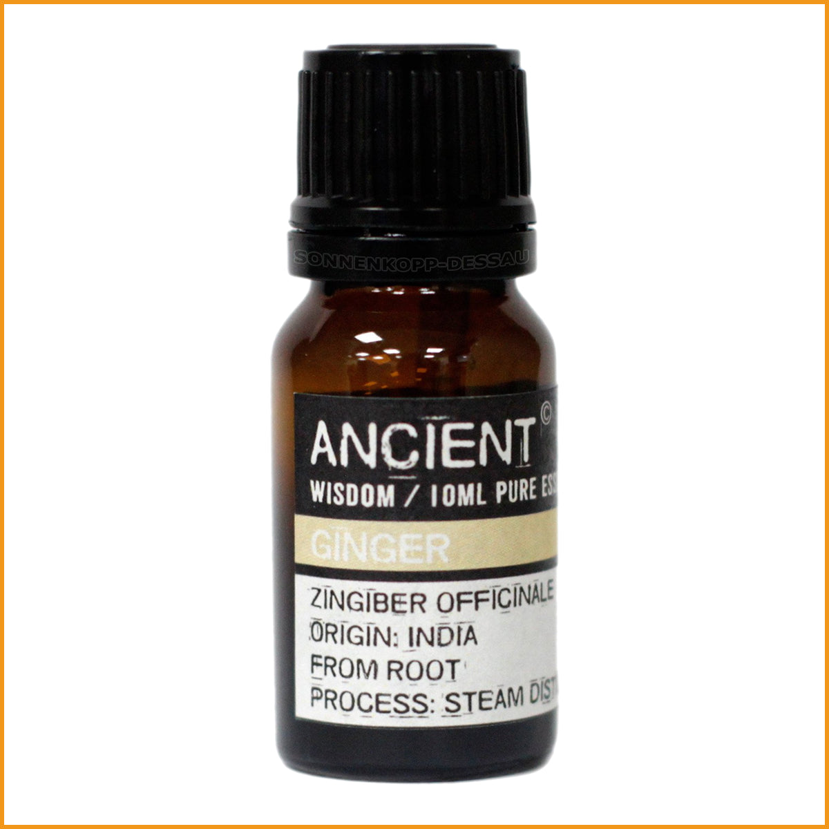 INGWER Ätherisches Öl 10 ml | Duftöl Ginger