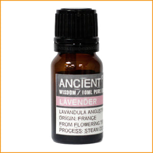 LAVENDEL Ätherisches Öl 10 ml | Duftöl Lavendel
