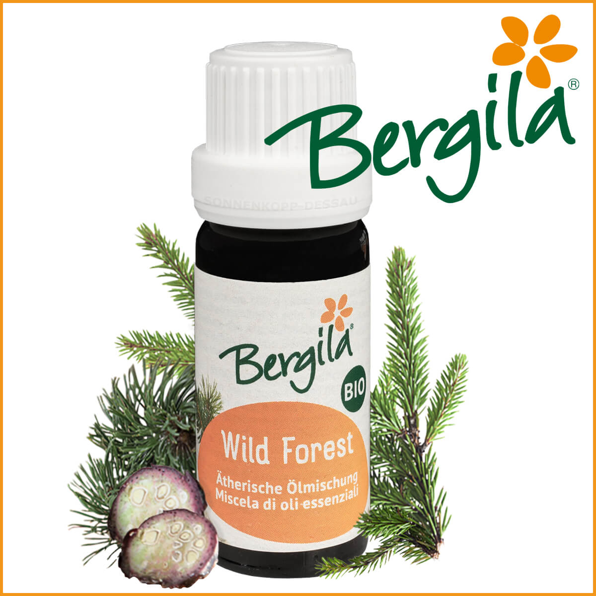 WILD FOREST - Bergila ® BIO ätherische Öl Mischung - Wild Forest TIROL