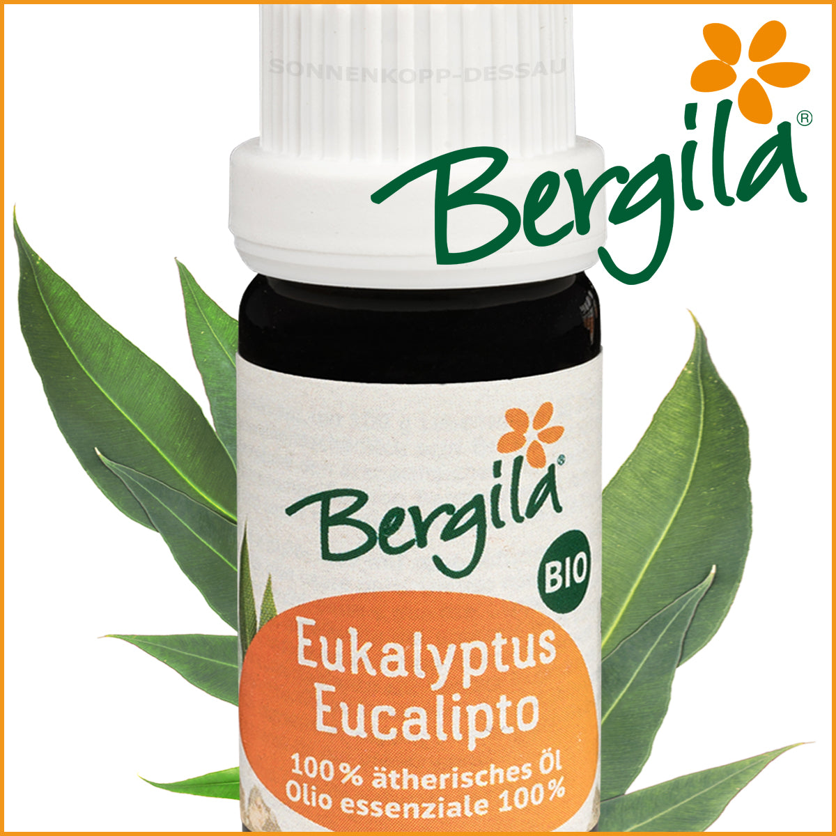 EUKALYPTUS - Bergila ® BIO ätherisches Öl - Eukalyptusöl
