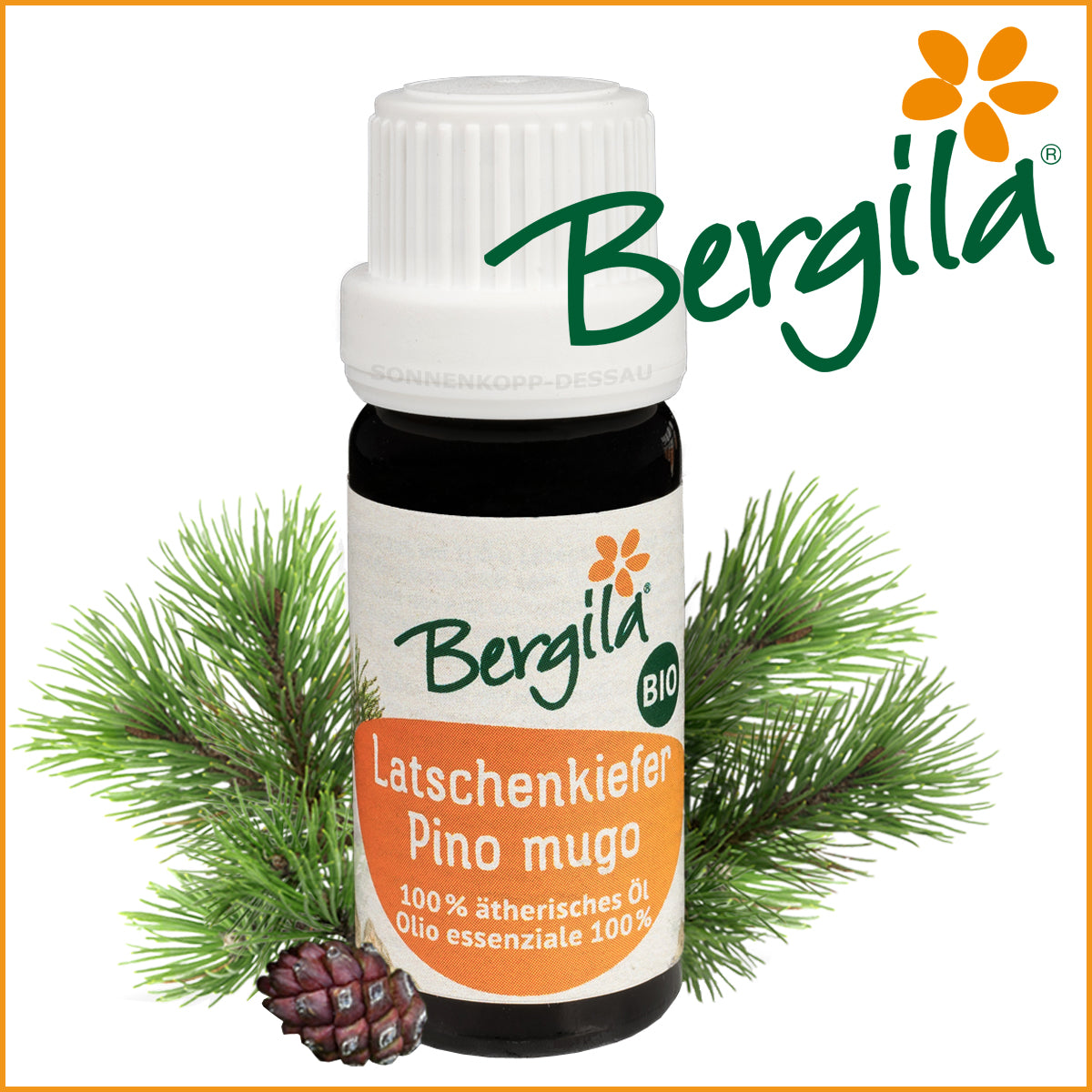 LATSCHENKIEFER - Bergila ® BIO ätherisches Öl - Latschenkieferöl TIROL