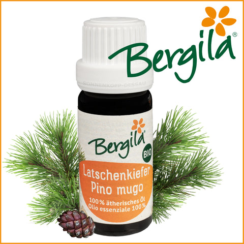 LATSCHENKIEFER - Bergila ® BIO ätherisches Öl - Latschenkieferöl TIROL