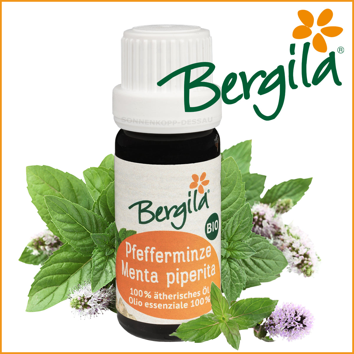 PFEFFERMINZE - Bergila ® BIO ätherisches Öl - Pfefferminzöl TIROL