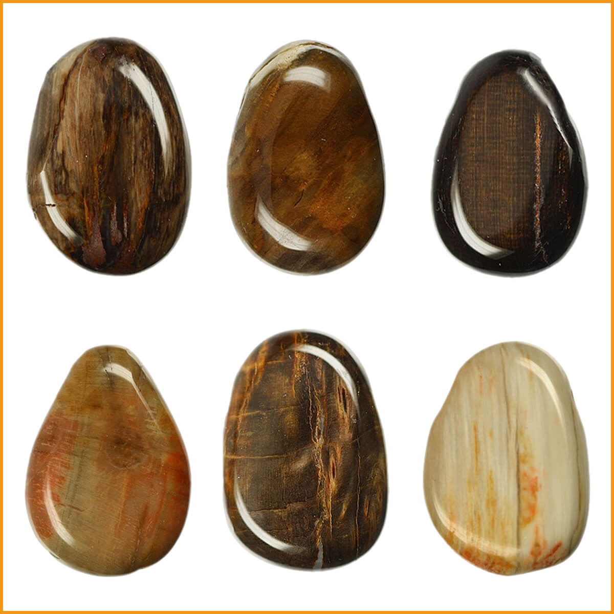 VERSTEINERTES HOLZ Heilstein | Versteinertes Holz Trommelstein Stein