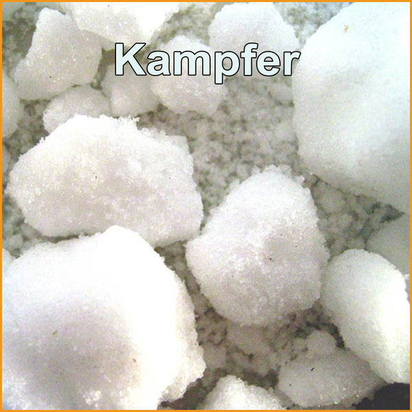 Räucherharz KAMPFER - Borneo Campher - Cinnamomum camphora