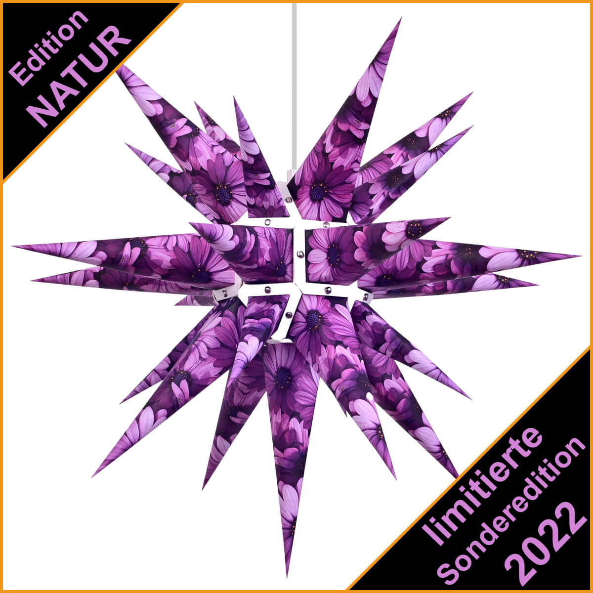 HERRNHUTER Stern EDITION NATUR 2022 - Kapmargarite SONDEREDITION 60 cm