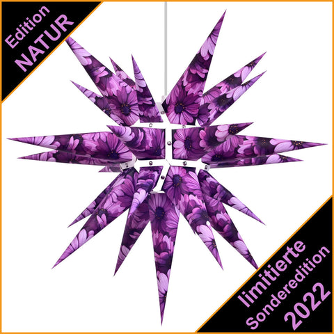 HERRNHUTER Stern EDITION NATUR 2022 - Kapmargarite SONDEREDITION 60 cm