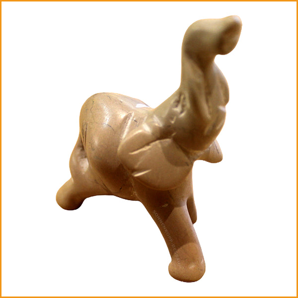 Elefant mit Rüssel nach oben